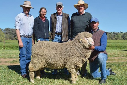 2014 Ram Sale highest paid