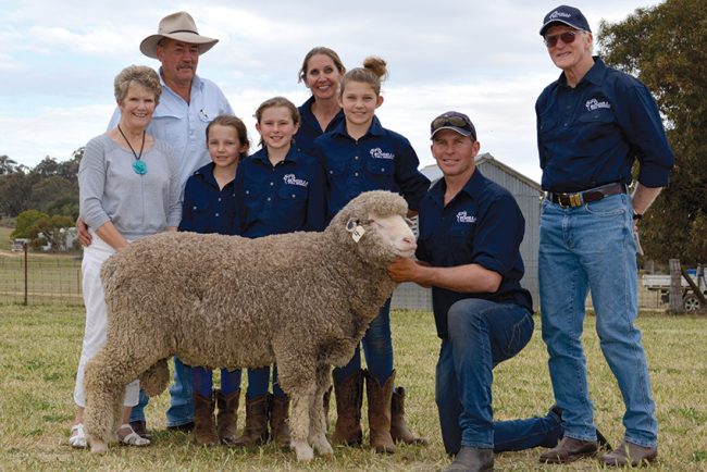2017 Bundilla Poll Merino Ram Sale - Top Price Ram