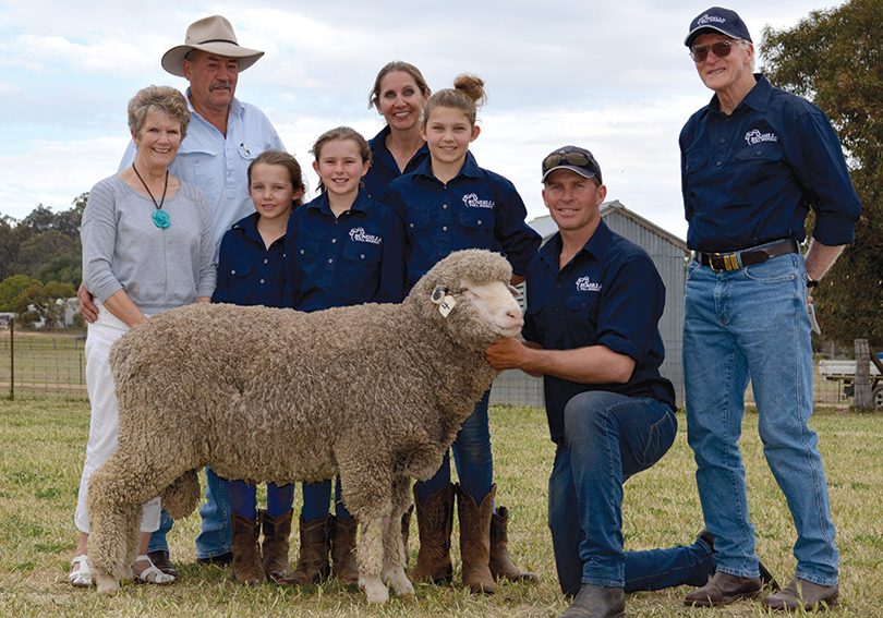 2017 Bundilla Poll Merino Ram Sale - Top Price Ram