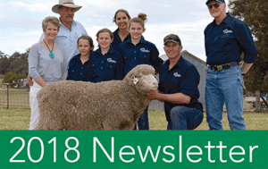 Bundilla Poll Merino NEWSLETTER 2018