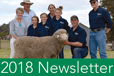 Bundilla Poll Merino NEWSLETTER 2018