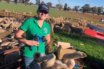 DNA testing (Work Experience student Lara Jaye)