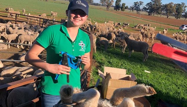 DNA testing (Work Experience student Lara Jaye)