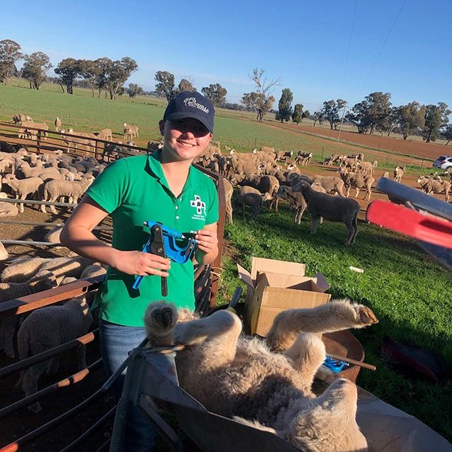 DNA testing (Work Experience student Lara Jaye)