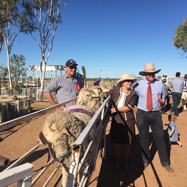 Rick Judging Longreach QLD Ewe Comp