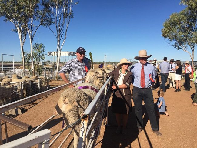 Rick Judging Longreach QLD Ewe Comp