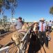 Rick Judging Longreach QLD Ewe Comp