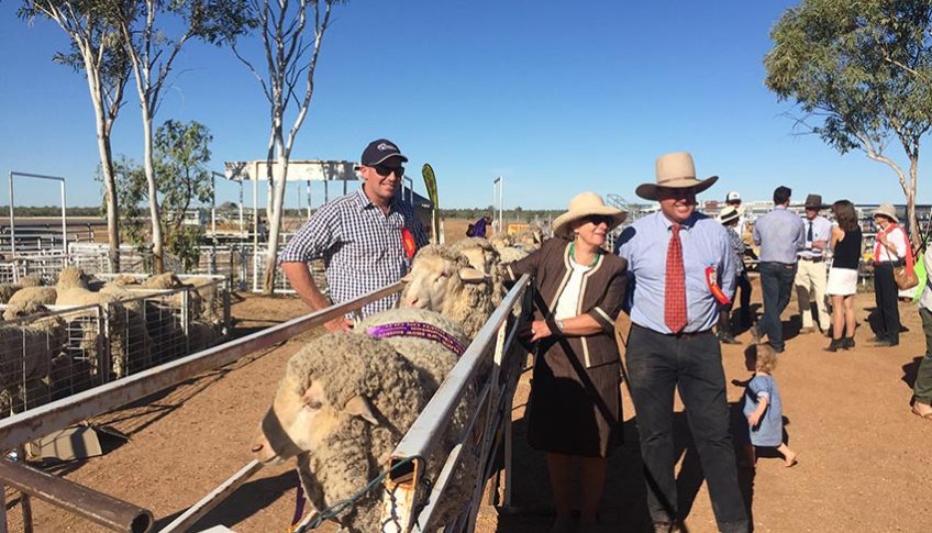 Rick Judging Longreach QLD Ewe Comp