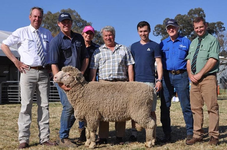 Bundilla's Top price ram at 2019 Ram Sale