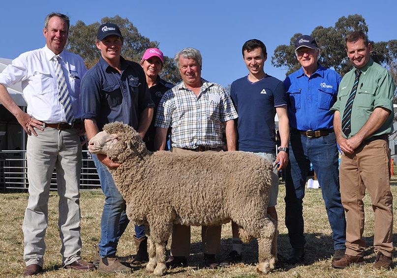 Bundilla's Top price ram at 2019 Ram Sale