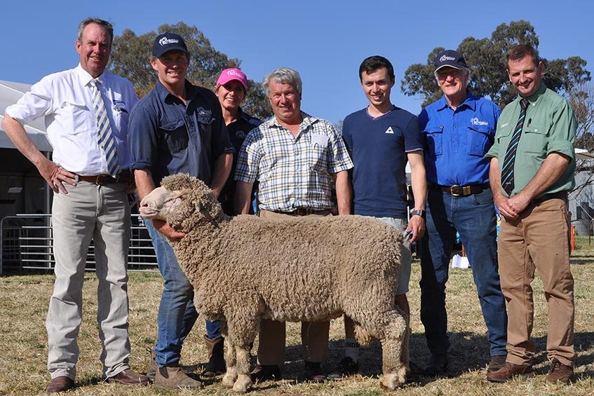 Bundilla's Top price ram at 2019 Ram Sale