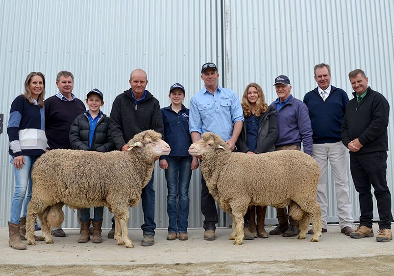 Top selling ram - Bundilla Ram Sale 2020