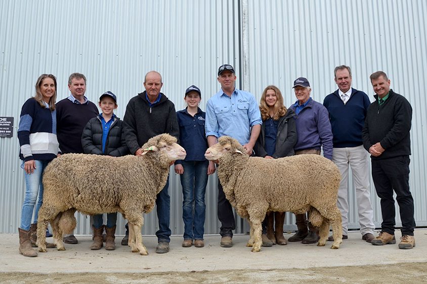 Top selling ram - Bundilla Ram Sale 2020