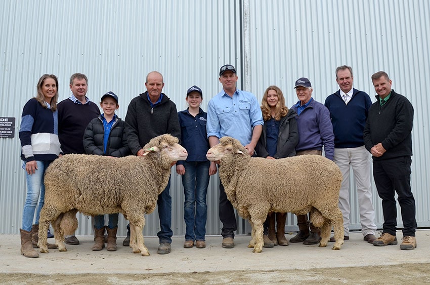 Top selling ram - Bundilla Ram Sale 2020