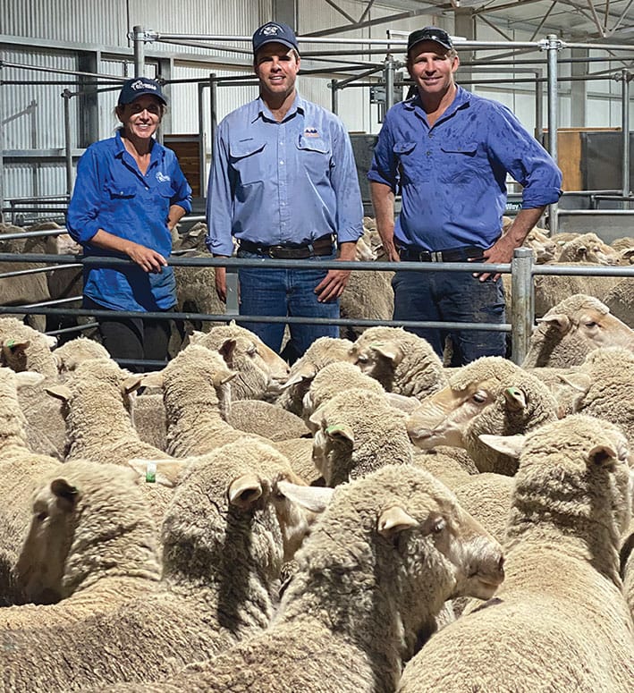 Australian-Merino-Ewe-Hogget-Price-Record